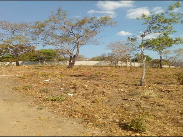 plots-for-sale-in-ibex-meanwood-big-1