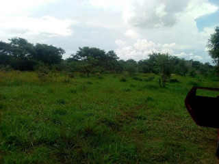 77-acres-small-holdings-for-sale-in-chisamba
