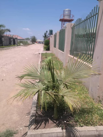 3-bedroom-house-for-sale-in-meanwood-chamba-valley-big-5