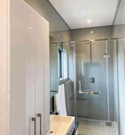 2-bedroom-apartments-for-rent-in-roma-park-big-4