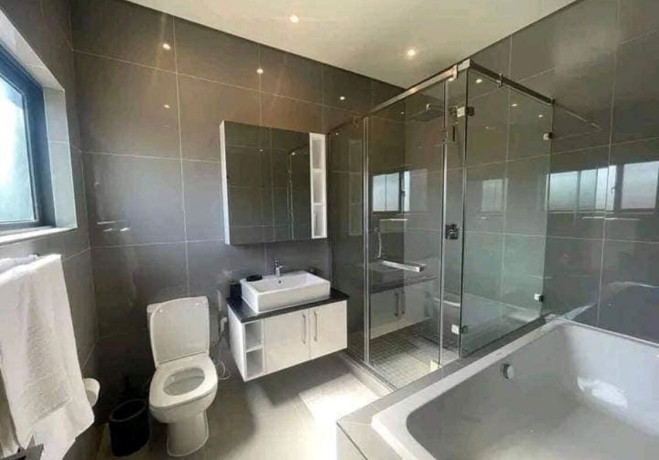 2-bedroom-apartments-for-rent-in-roma-park-big-2