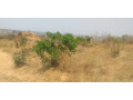 land-for-sale-in-framers-kalundu-small-0
