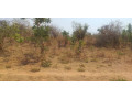 land-for-sale-in-framers-kalundu-small-1