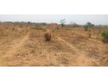 land-for-sale-in-framers-kalundu-small-3
