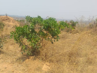 land-for-sale-in-framers-kalundu