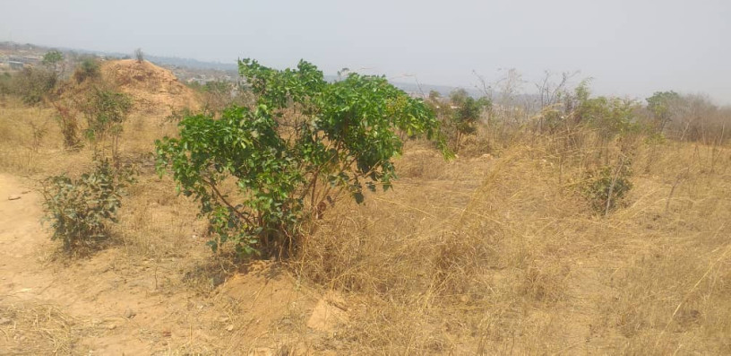 land-for-sale-in-framers-kalundu-big-5