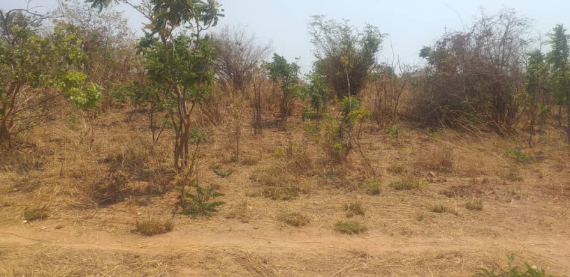 land-for-sale-in-framers-kalundu-big-1