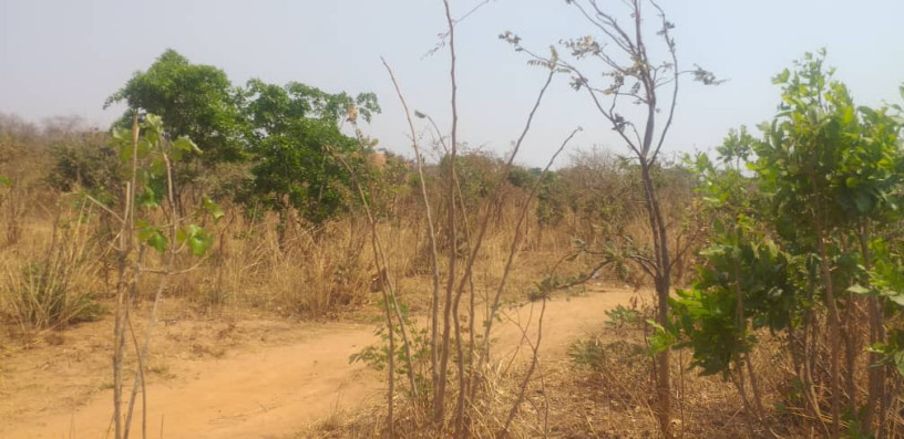 land-for-sale-in-framers-kalundu-big-4