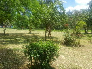 residential-plot-in-ibex-hill