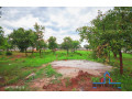 1-acre-plot-for-sale-in-new-kasama-small-1