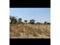5-hectares-land-for-sale-in-mumbwa-small-0
