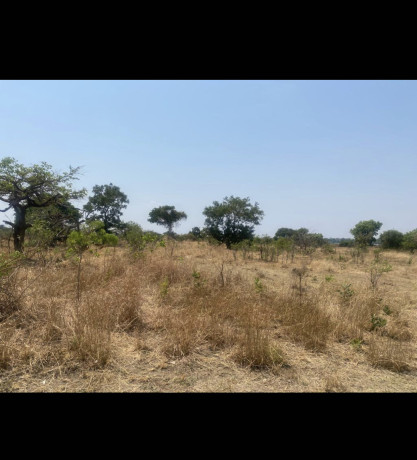 5-hectares-land-for-sale-in-mumbwa-big-0