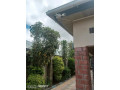 spacious-3-bedroom-house-for-sale-in-meanwood-kwamwena-small-2