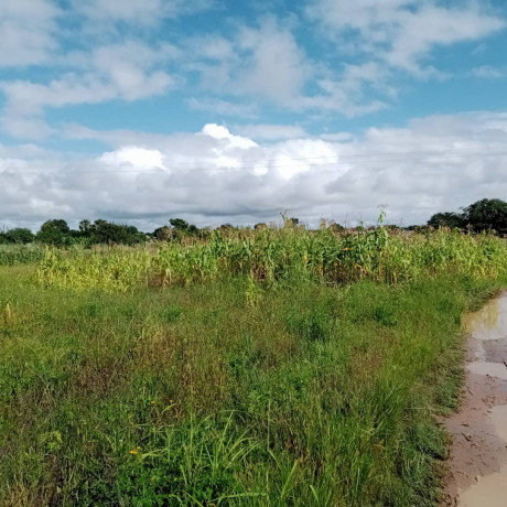 30m-by-20m-plot-for-sale-in-silverest-big-1