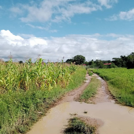 30m-by-20m-plot-for-sale-in-silverest-big-0