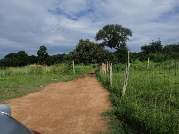 80-acres-land-for-sale-along-great-north-road-big-1