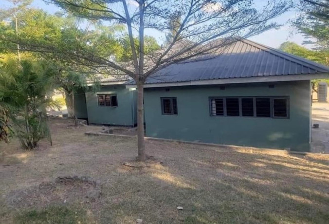 3-bedroom-house-for-rent-in-chilanga-big-3