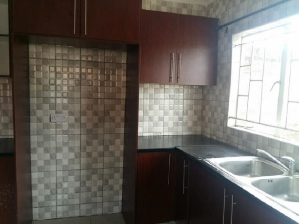 luxurious-2-bedroom-flat-in-olympia-big-4