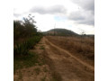 land-for-sale-in-shimabala-small-2