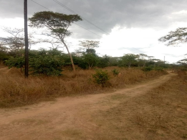 land-for-sale-in-shimabala-big-1