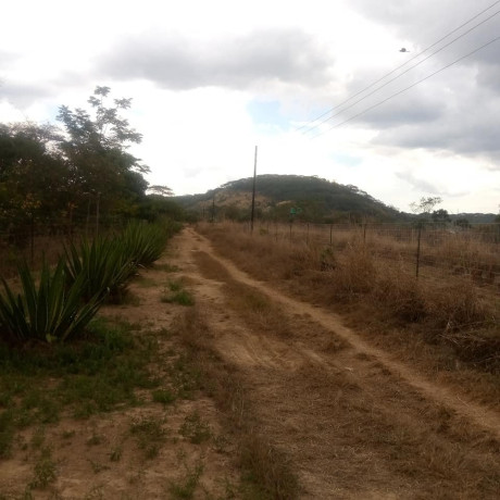 land-for-sale-in-shimabala-big-2