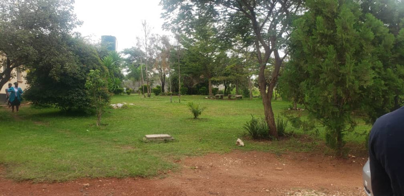 commercial-property-for-sale-in-libala-south-big-0