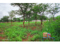 51m-by-57m-plot-for-sale-in-makeni-small-2