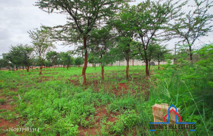 51m-by-57m-plot-for-sale-in-makeni-big-2