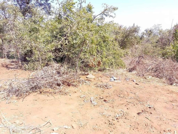 40m-by-35m-plot-for-sale-in-chalala-big-2