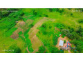 10-acre-plot-for-sale-in-new-kasama-small-6