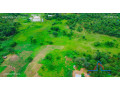 10-acre-plot-for-sale-in-new-kasama-small-3