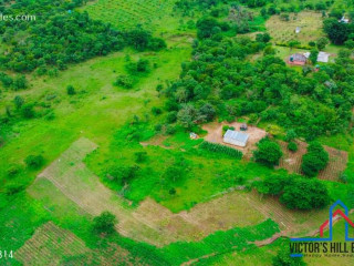 10-acre-plot-for-sale-in-new-kasama