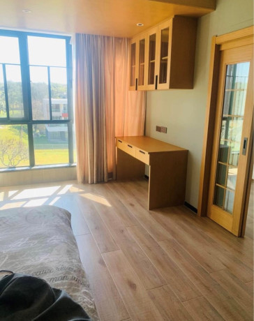 4-bedroom-house-for-rent-in-ibex-hill-big-9