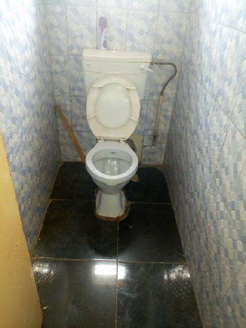 four-bedroom-house-with-ensuite-master-bedroom-and-cottage-for-rent-big-5