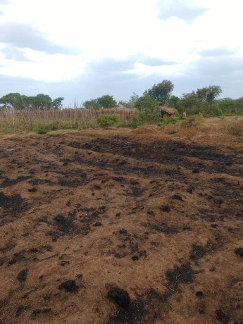 25-by-20-plot-for-sale-in-kasupe-big-3