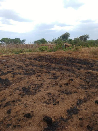 25-by-20-plot-for-sale-in-kasupe-big-4