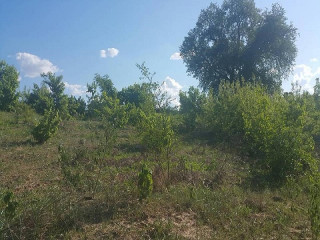 land-for-sale-in-roma-park