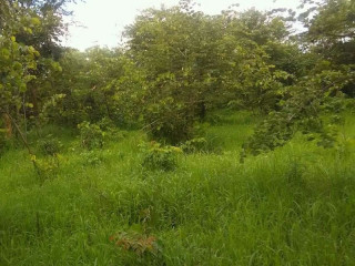 beautiful-property-on-mumbwa-road