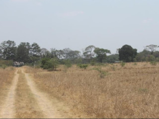 residential-plots-for-sale