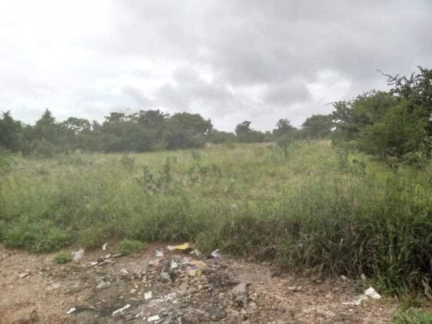 30m-by-25m-plot-for-sale-in-libala-south-big-0