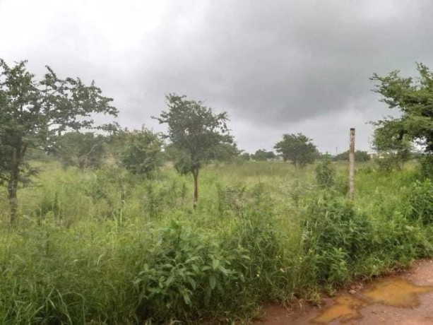 30m-by-25m-plot-for-sale-in-libala-south-big-3