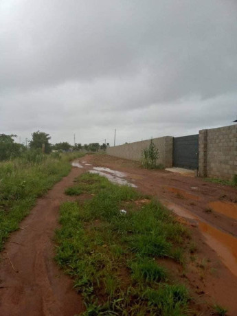 30m-by-25m-plot-for-sale-in-libala-south-big-2