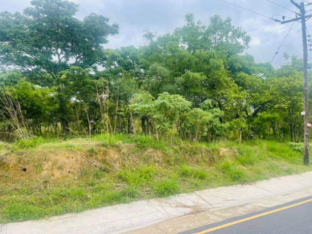 5-acres-land-for-sale-in-ibex-meanwood-big-4