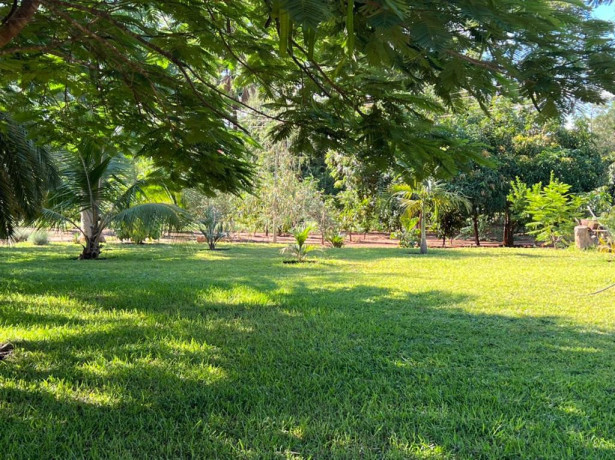 farm-house-for-sale-in-kafue-big-7