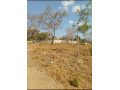 50m-by-40m-plot-for-sale-in-ibex-meanwood-small-1