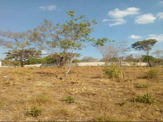 50m-by-40m-plot-for-sale-in-ibex-meanwood