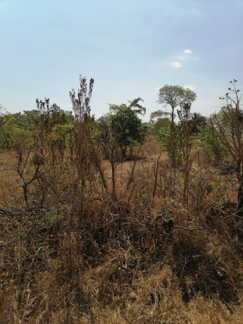 plots-for-sale-in-roma-big-2