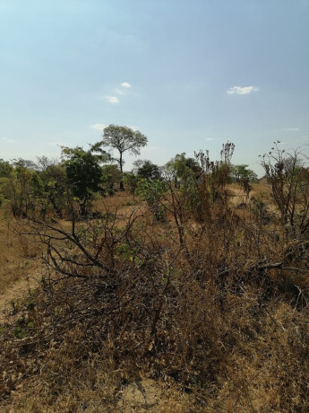 plots-for-sale-in-roma-big-1