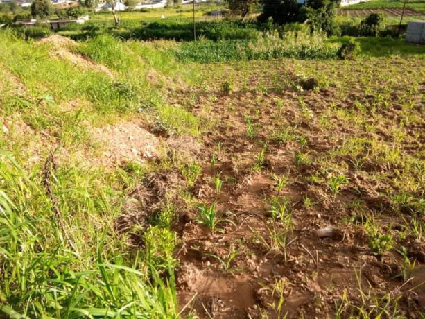 587sqm-plot-for-sale-in-foxdale-big-3