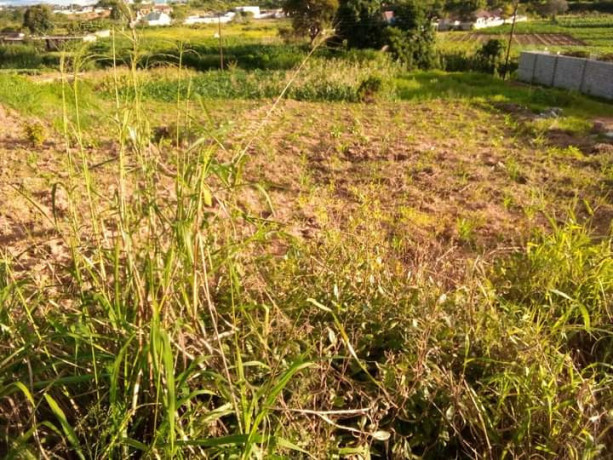 587sqm-plot-for-sale-in-foxdale-big-5